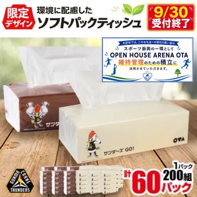 群馬クレインサンダーズ応援ソフトパックティッシュ 400枚(200組)×60パック　9/30受付終了 | ふるさと納税のお礼品