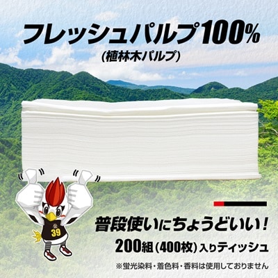 群馬クレインサンダーズ応援ソフトパックティッシュ 400枚(200組)×60パック　9/30受付終了