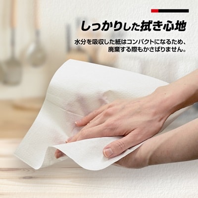 群馬クレインサンダーズ応援ペーパータオル　200枚入り×35パック