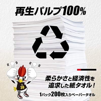 群馬クレインサンダーズ応援ペーパータオル　200枚入り×35パック