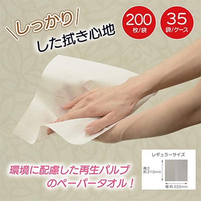 群馬クレインサンダーズ応援ペーパータオル　200枚入り×35パック