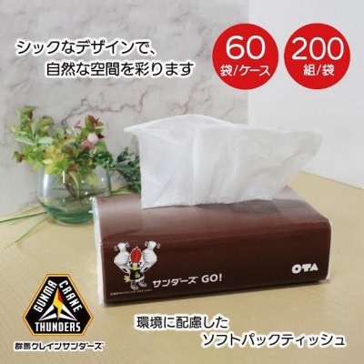 【令和6年3月発送】群馬クレインサンダーズ応援ソフトパックティッシュ400枚(200組)×60パック