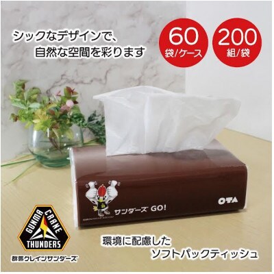 【令和6年7月発送】群馬クレインサンダーズ応援ソフトパックティッシュ400枚(200組)×60パック