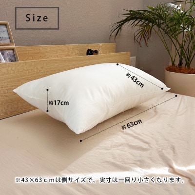 東レ ft ウォッシャブル ヌードピロー 43×63cm