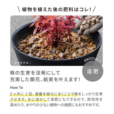 植物用 肥料 バイオゴールド オリジナル 5kg×4袋入(1箱)
