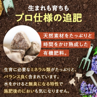 植物用 肥料  バイオゴールド オリジナル 5kg×1袋