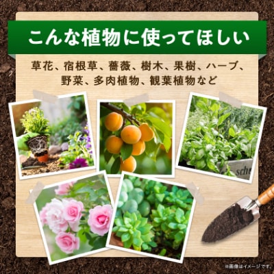 植物用 肥料  バイオゴールド オリジナル 5kg×1袋