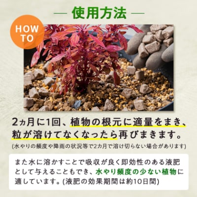 植物用 肥料  バイオゴールド オリジナル 5kg×1袋