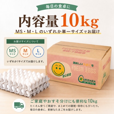 くりばらの毎日たまご10kg(MS・M・Lいずれか単一サイズ)