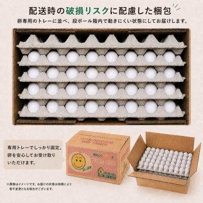 【訳あり】くりばらの毎日たまご 10kg(小玉または大玉)