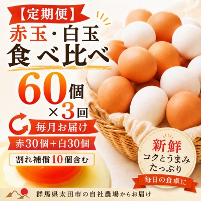 【毎月定期便】むかしの美味しい卵・心美卵 紅白食べ比べセット 60個(各30個)全3回