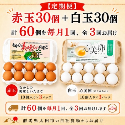 【毎月定期便】むかしの美味しい卵・心美卵 紅白食べ比べセット 60個(各30個)全3回