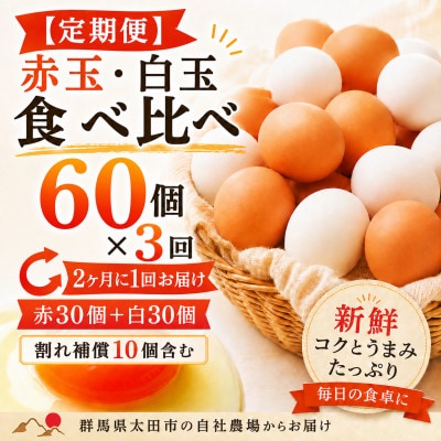 【2ヵ月毎定期便】むかしの美味しい卵・心美卵 紅白食べ比べセット 60個(各30個)全3回