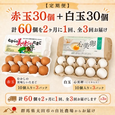 【2ヵ月毎定期便】むかしの美味しい卵・心美卵 紅白食べ比べセット 60個(各30個)全3回