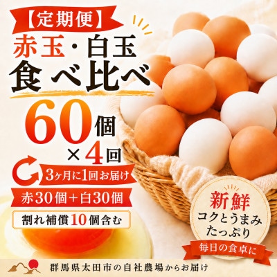【3ヵ月毎定期便】むかしのおいしい卵・心美卵 紅白食べ比べセット 60個(各30個)全4回