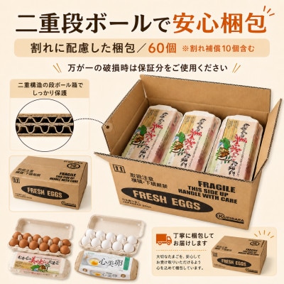 【3ヵ月毎定期便】むかしのおいしい卵・心美卵 紅白食べ比べセット 60個(各30個)全4回