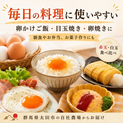 【3ヵ月毎定期便】むかしのおいしい卵・心美卵 紅白食べ比べセット 60個(各30個)全4回