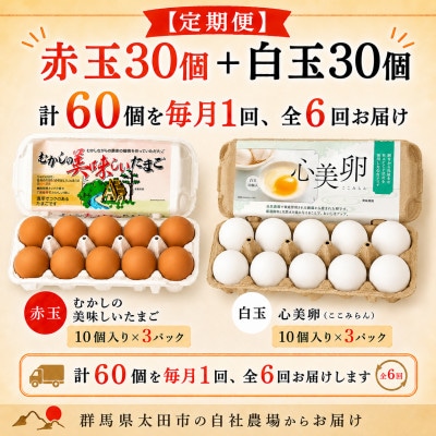 【毎月定期便】むかしの美味しい卵・心美卵 紅白食べ比べセット 60個(各30個)全6回