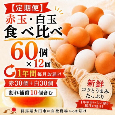 【毎月定期便】むかしの美味しい卵・心美卵 紅白食べ比べセット 60個(各30個)全12回