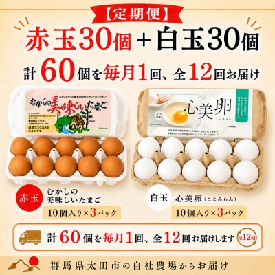 【毎月定期便】むかしの美味しい卵・心美卵 紅白食べ比べセット 60個(各30個)全12回
