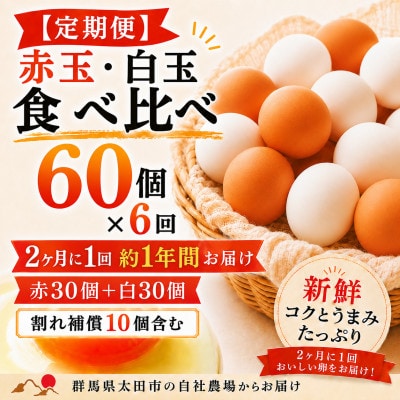 【2ヵ月毎定期便】むかしの美味しい卵・心美卵 紅白食べ比べセット 60個(各30個)全6回