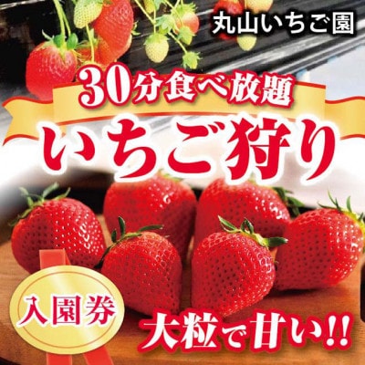 【丸山いちご園】群馬が誇る”新食甘(感)”苺「やよいひめ」いちご狩り入園券(3名様分)2025