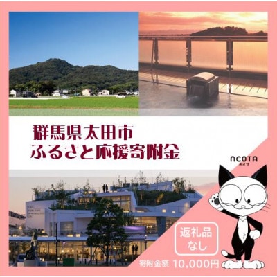 【返礼品なし】群馬県太田市への寄附(10,000円)