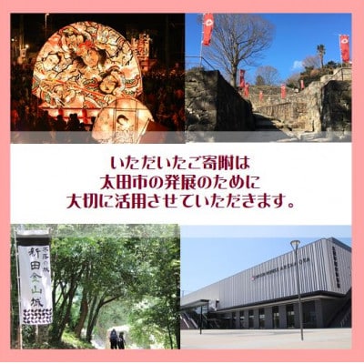 【返礼品なし】群馬県太田市への寄附(10,000円)