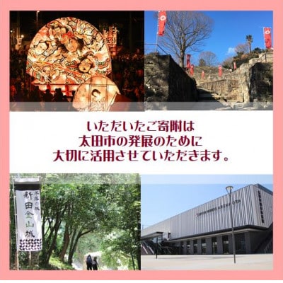 【返礼品なし】群馬県太田市への寄附(5,000円)