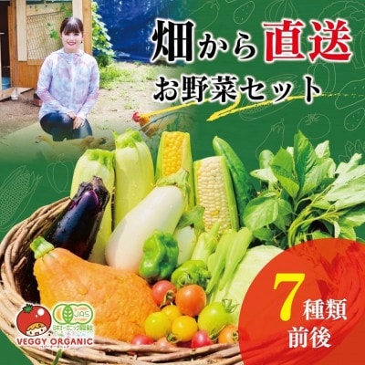 新鮮さ抜群 季節の味を楽しむ有機JAS認証 野菜詰め合わせセット(7種類前後)オーガニック 有機野菜