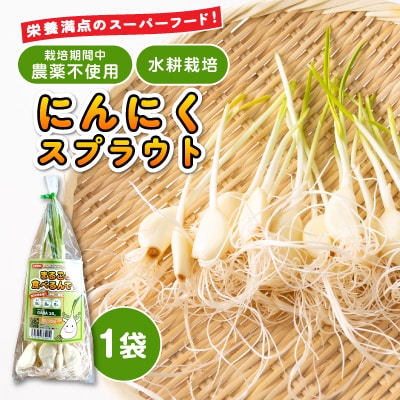 にんにくスプラウト【まるごと食べるんです】　1袋