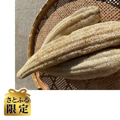 【さとふる限定】ヘチマスポンジ 計120g 50cm×3本