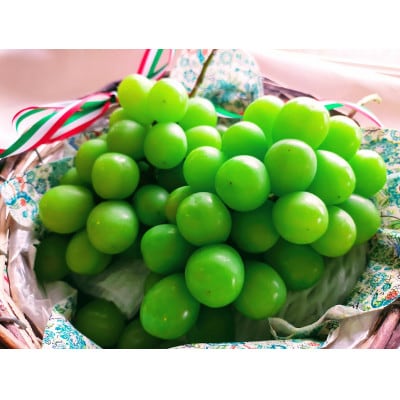 【2026年8月より発送】先行予約　群馬県産シャインマスカット2房　約1.2kg