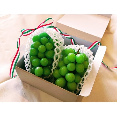 【2026年8月より発送】先行予約　群馬県産シャインマスカット2房　約1.2kg