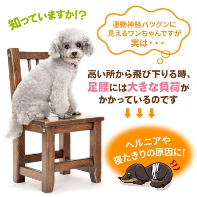 PetStyle ドッグステップ 幅広 55cm メッシュ生地 ソフトタイプ (ブラック)