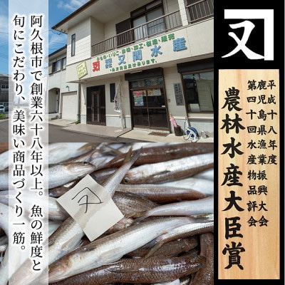 【数量限定】鹿児島県産あくねのいわしフライ(計24枚・4枚入×6袋)【又間水産】a-12-186