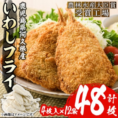 【数量限定】鹿児島県産あくねのいわしフライ 計48枚(4枚入×12袋)【又間水産】akn001-11