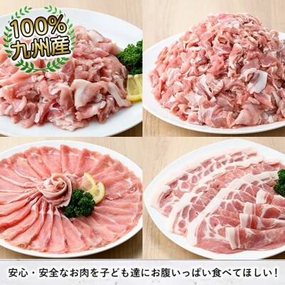 豚肉詰め合わせ 計2kg ロース 肩ロース バラ 切り落とし セット【三九】akn006-03