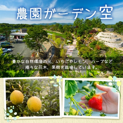 果実酒ストロベリーシードル「こもれびクラフト」(330ml×6本)【農園ガーデン空】a-17-4
