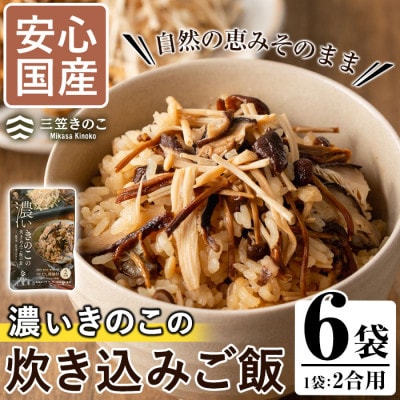 濃いきのこの炊き込みご飯の素(2合用×6個) 【三笠えのき茸生産組合】a-12-59