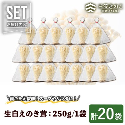 生白えのき茸(20袋・計5kg)【三笠えのき茸生産組合】a-12-221