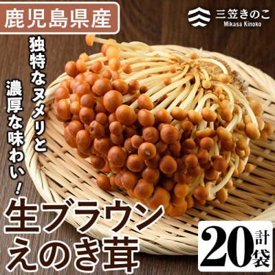 生ブラウンえのき茸(20袋・計3.6kg)【三笠えのき茸生産組合】a-12-220