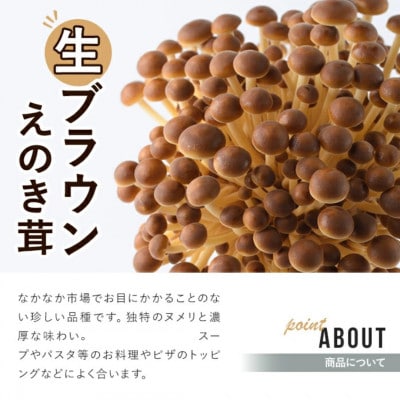 生ブラウンえのき茸(20袋・計3.6kg)【三笠えのき茸生産組合】a-12-220