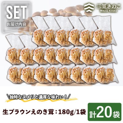 生ブラウンえのき茸(20袋・計3.6kg)【三笠えのき茸生産組合】a-12-220