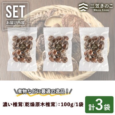 濃い椎茸(3袋・計300g) 【三笠えのき茸生産組合】a-12-223