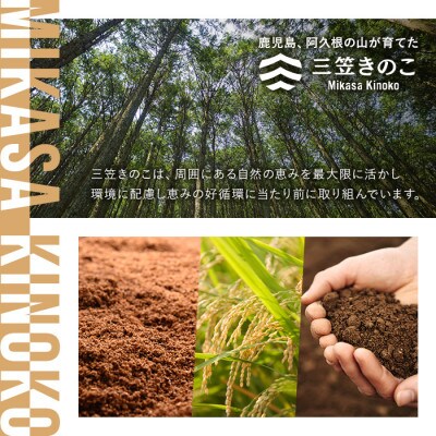 濃いきのこ乾物4種セット(5袋・約270g)【三笠えのき茸生産組合】a-12-224