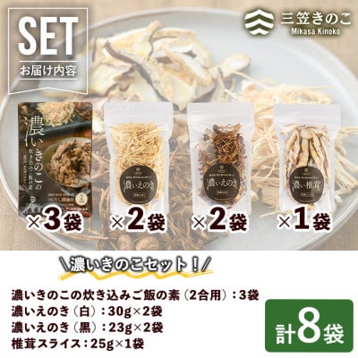 鹿児島県阿久根の山が育てたきのこ!濃いきのこセット(4種)【三笠えのき茸生産組合】a-12-41
