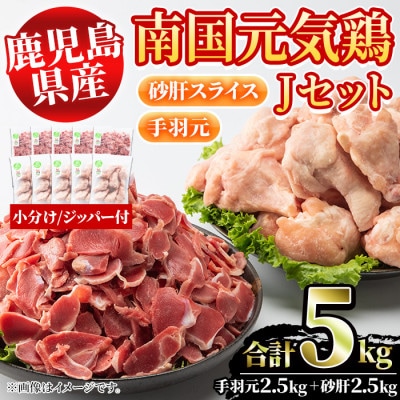 鹿児島県産鶏肉!南国元気鶏Jセット(計5kg・手羽元:500g×5P、砂肝スライス:500g×5P)