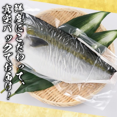 鮮度抜群!自社加工ブリ(片身分・4～5kg) 　さるがく水産　a-32-6