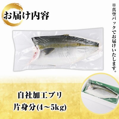 鮮度抜群!自社加工ブリ(片身分・4～5kg) 　さるがく水産　a-32-6